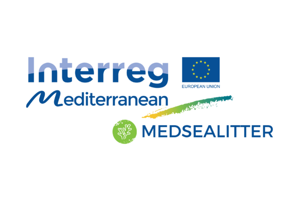 Litter ingested by sea turtles – Protocol