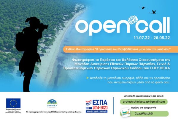 Open Call “Protecting the Environment through your lens”