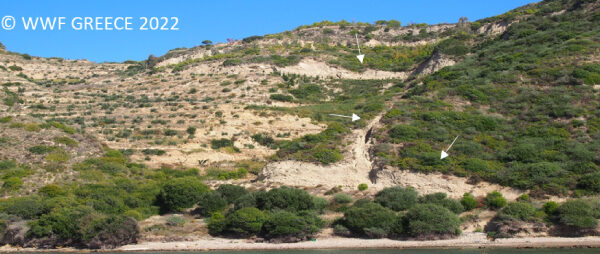 T-PVS/Files(2022)57. Recommendation No. 9 (1987) on the protection of Caretta Caretta in Laganas bay, Zakynthos (Greece).